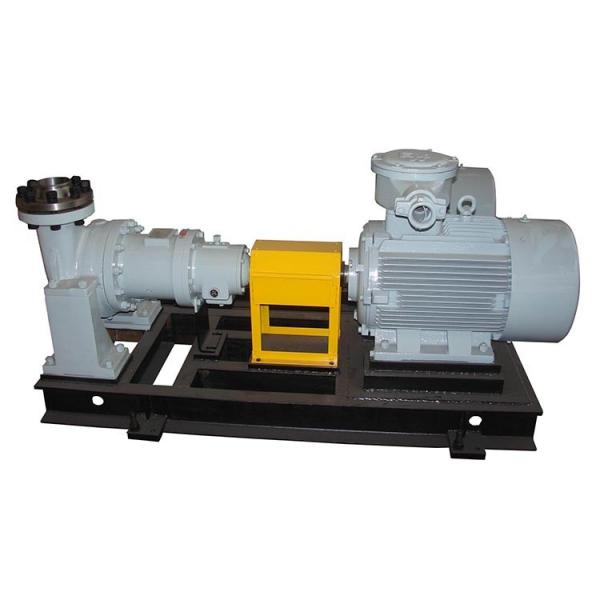 Vickers PV016R1K1JHNMMC+PV016R1L1T1NMM Piston Pump PV Series #1 image